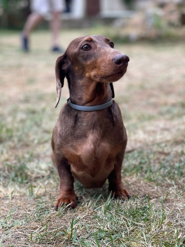 [Image: Resized-IMG-20230618-WA0013.jpg]