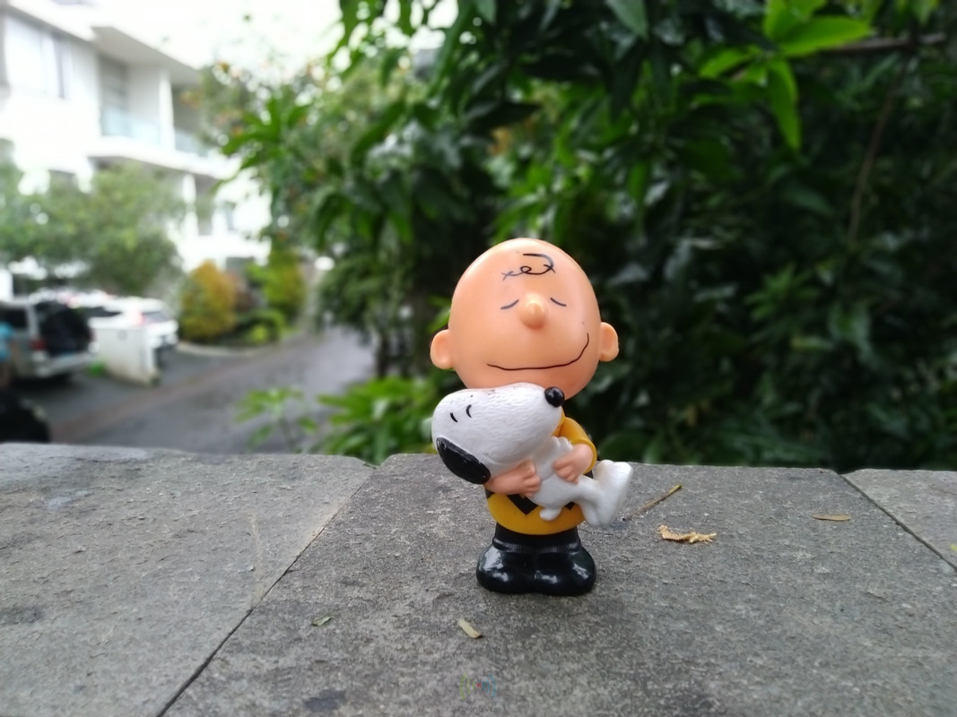 Asus Zenfone Max PRO M1 - Hasil Kamera Utama Bokeh 2