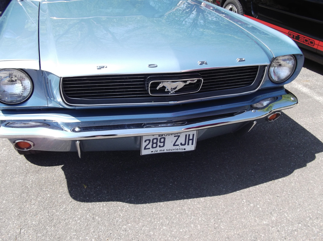 Activité 2023: Bénédiction des Mustang le 28 mai 2023 1966-3