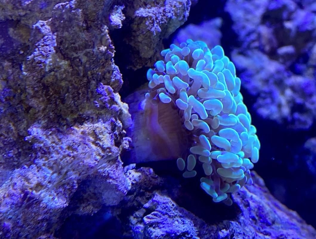 B59DA8A9-CF6C-47B3-8A14-D0873703D470