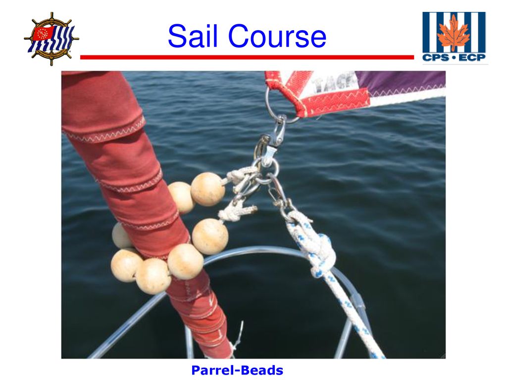 B05EF6FF-B08A-4C30-BEFF-DCEB4D8B1A23