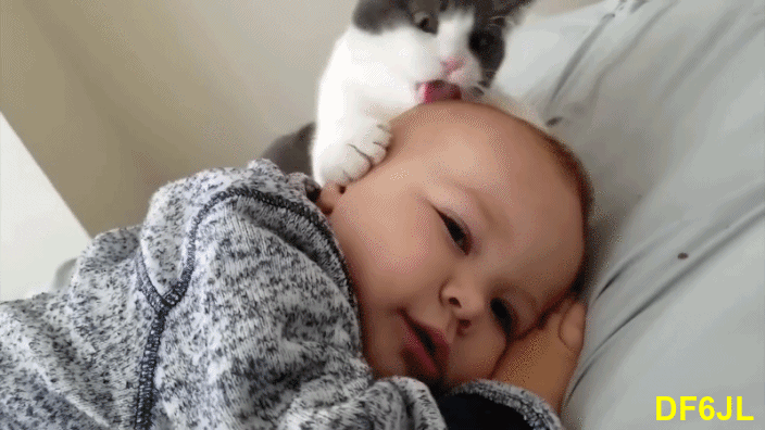 Babylove-002