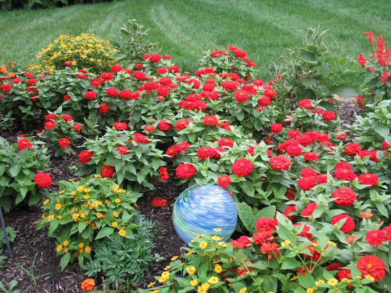 Lawn and Gardens 08.19.2018  (1)