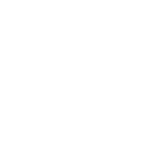 Direct Developer Support