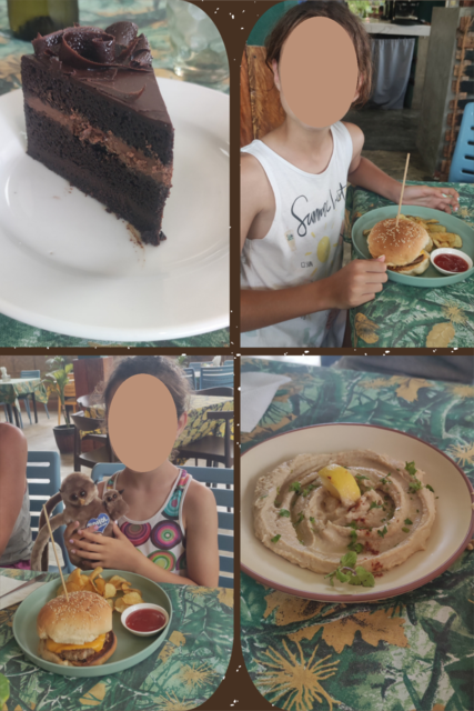 --DÍA 13 (23 junio): Bohol (Tarseros, Chocolate Hills, Tirolina y Napaling) - Un mes por Filipinas y Tailandia con niñas (2025) (6)