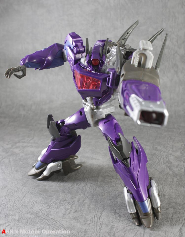 947258_321644951296250_1885478005_n