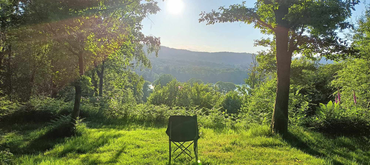 Wild-Wood-Reggae-Summer-Retreat