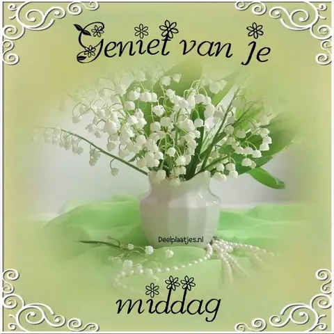 deelplaatjes-nl-anette-fijne-middag-484017.webp