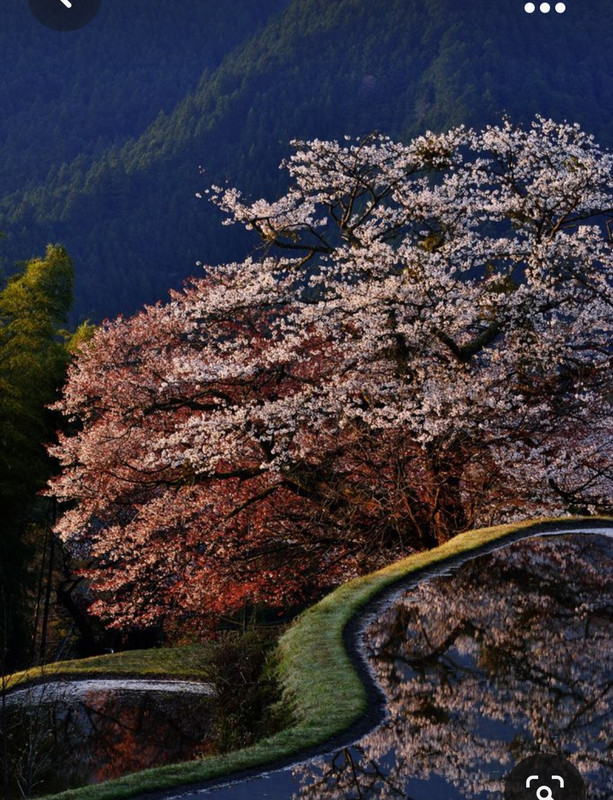 Screenshot_20231020_212005_Pinterest