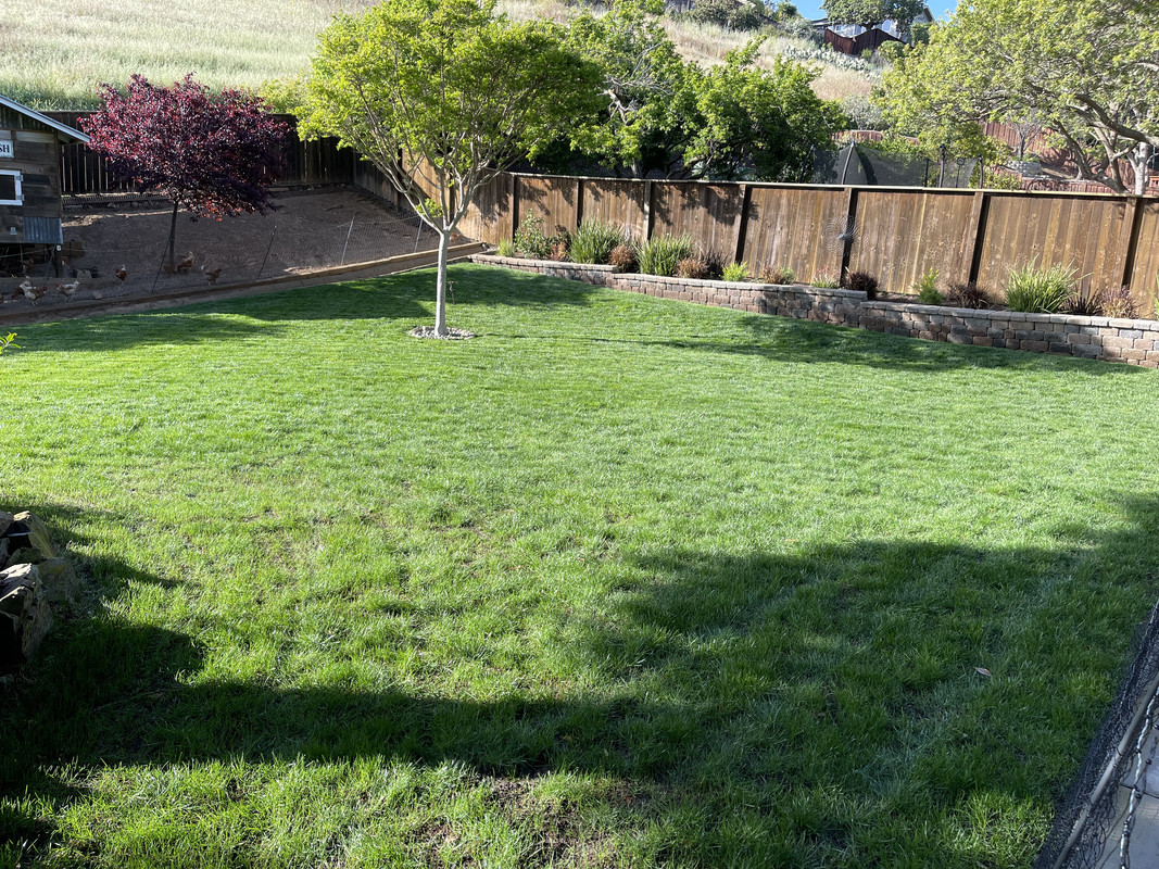 ABDDFFF2-A5E4-4CAB-B3A7-D7C7FEA78648