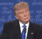 donald trump wrong
