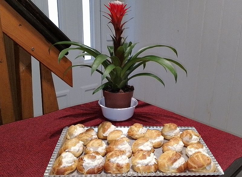 https://i.postimg.cc/K8h9kvbr/bromelia-g-kepviselofank-2023.jpg