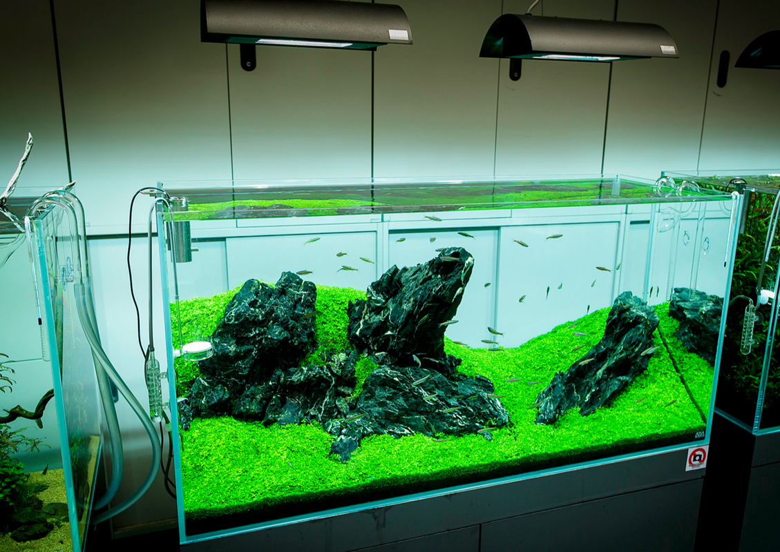 Capture d’écran 2022-04-02 à 19.13.47