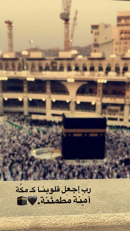 828E3A39-2789-42EB-B0E6-813FBDC27C2E