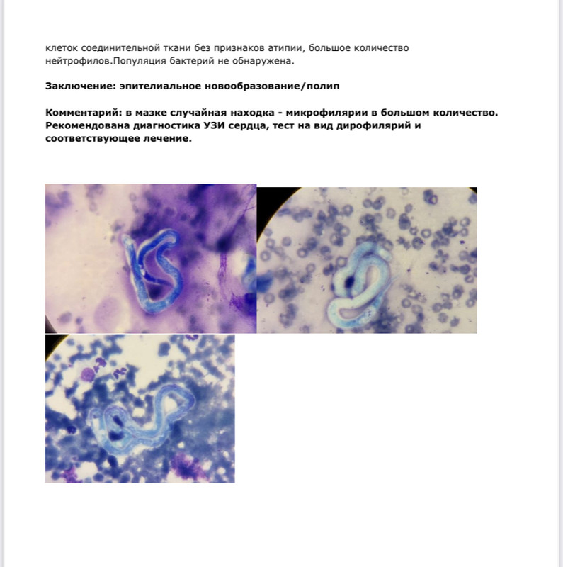 1393119A-08E5-4A6B-928A-2527C9D05E7A