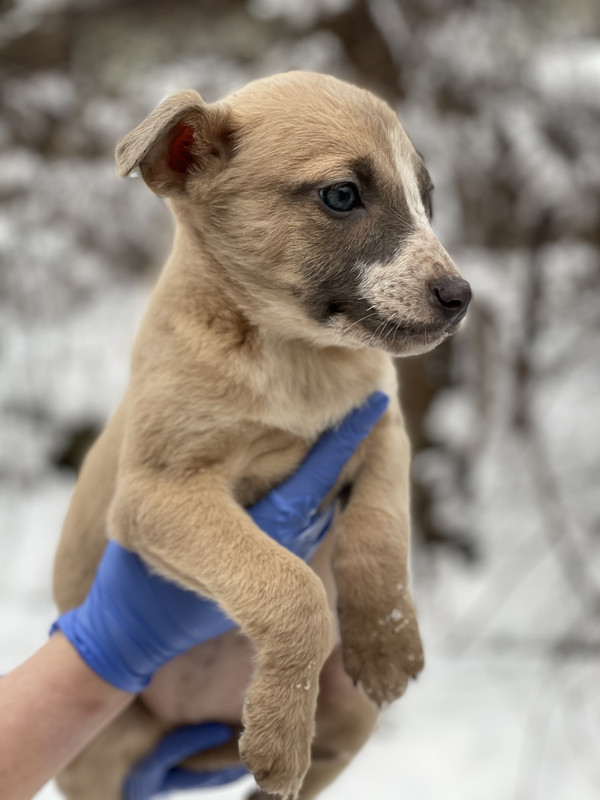 99FC201C-ACD7-4CCA-A53C-4DABBD7F4D42