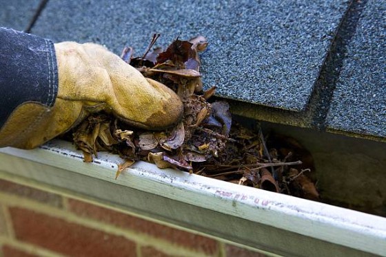 Gutter-cleaning-9.jpg
