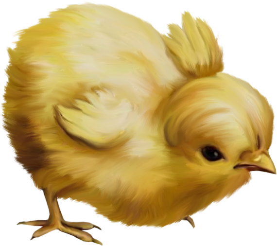 0_1c118c_7aead40b_orig