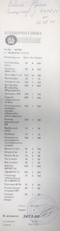 зображення_viber_2024-08-17_18-36-51-437