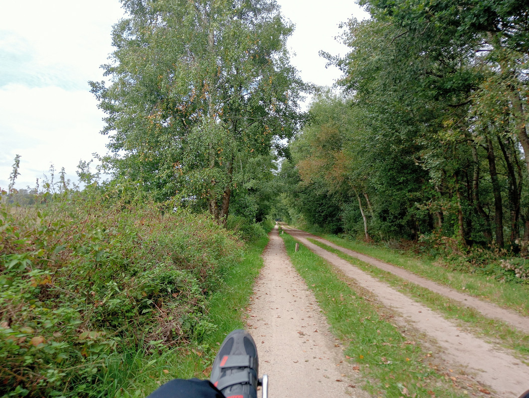 [Afbeelding: IMG20250926135005.jpg]
