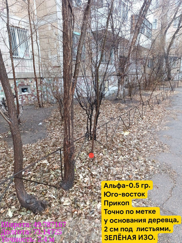 IMG 20251121 191838 825