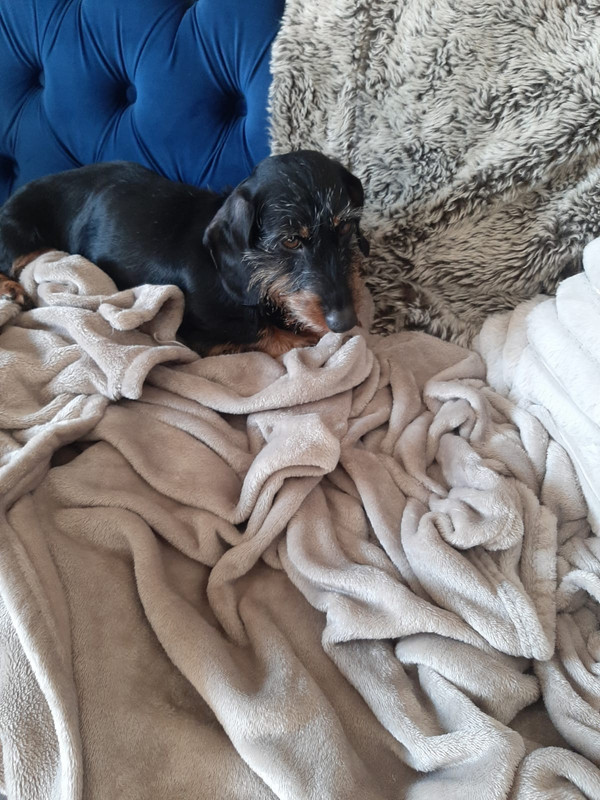 [Image: IMG-20240110-WA0007.jpg]