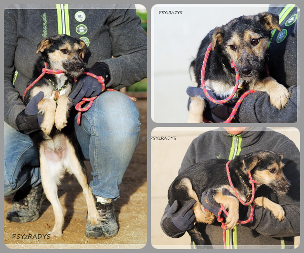 BeFunky-collage (19)