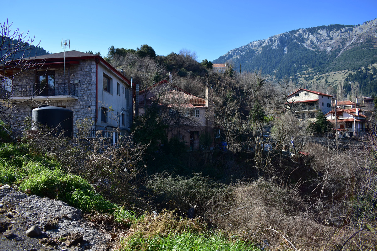 Επτάλοφος (Αγόριανη) (17)