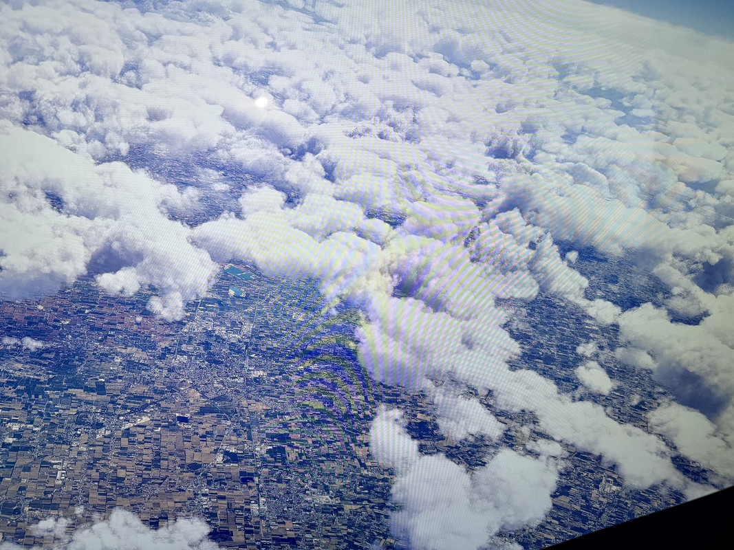 IMG-6946.jpg