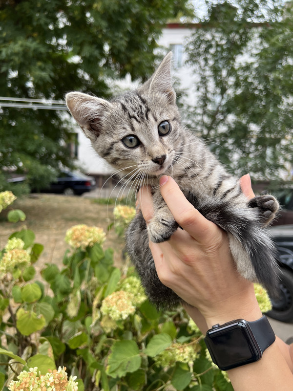 A0D0B23B-3F71-4B2A-A8CF-F7301AA6B849