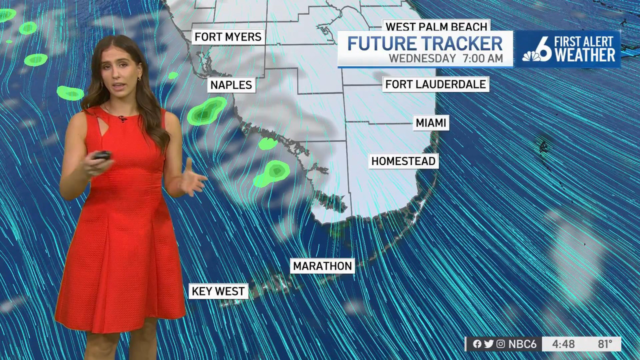 12.20 - 21.00.00 - NBC 6 News at 4 00 p.m..ts_snapshot_24.48_[2021.12.20_23.28.38]