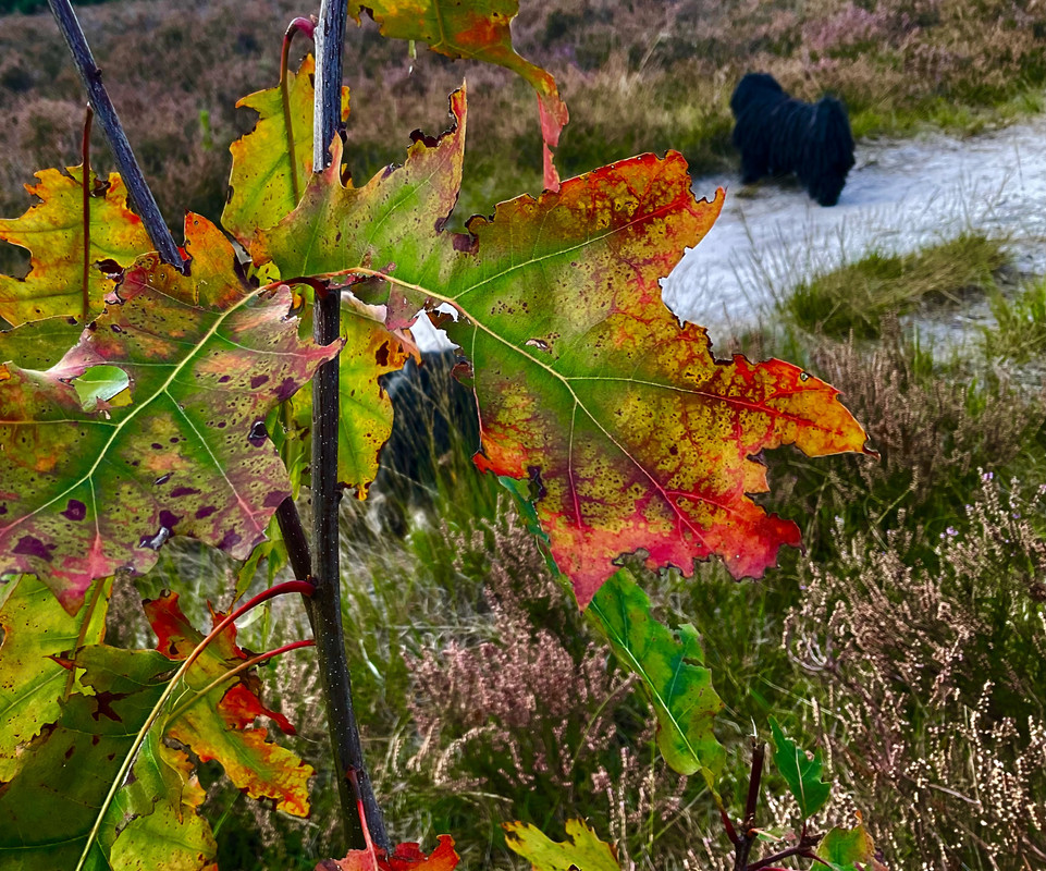 EB6BB151-7452-4012-A681-5DB82D73E3A1