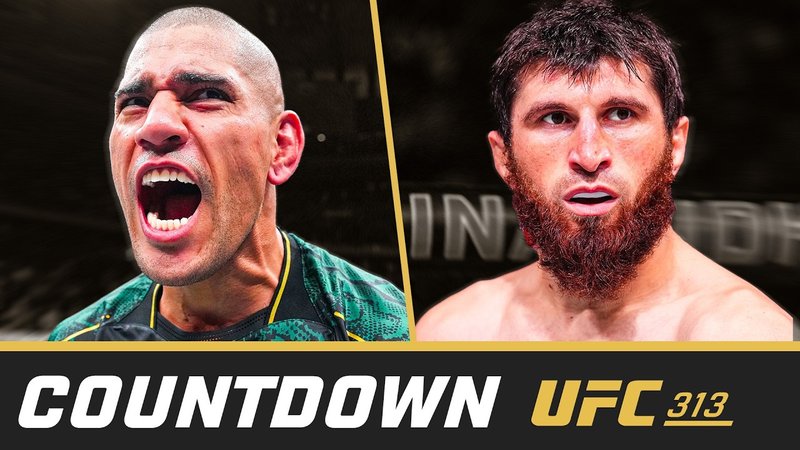 Обратно броене до UFC 313