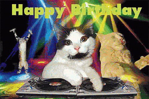 happy-birthday-cats.gif