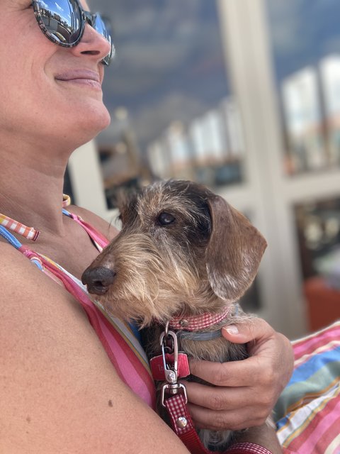 [Image: IMG-5230.jpg]