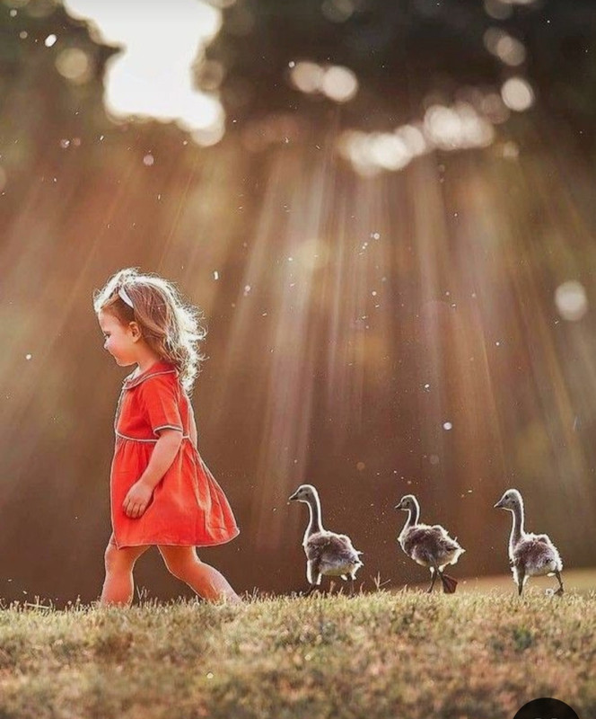 Screenshot_20240610_221316_Pinterest