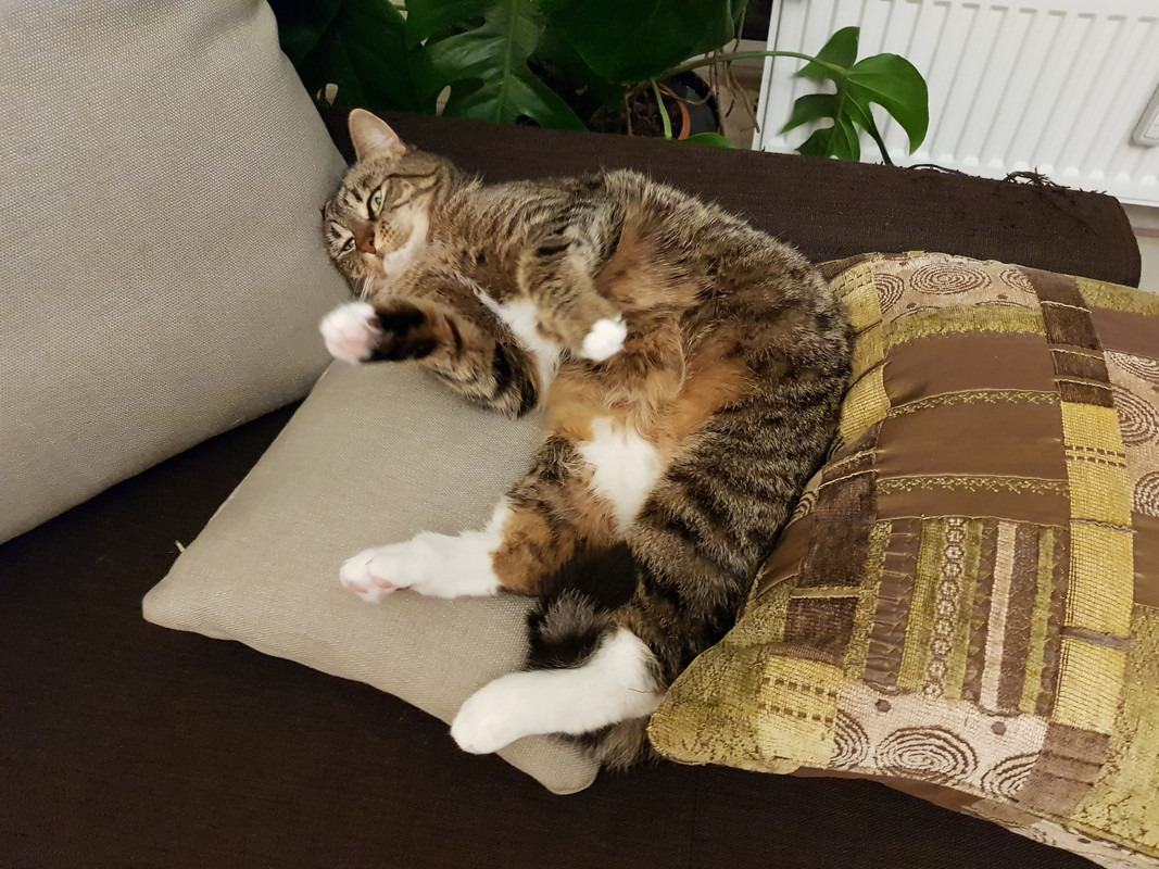 20191026-192545.jpg