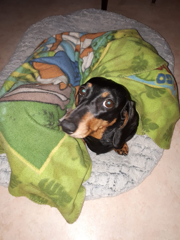 [Image: IMG-20230711-WA0004.jpg]