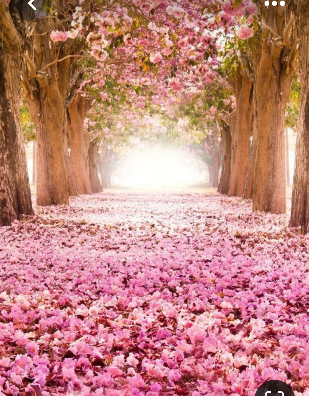 Screenshot_20230321_232240_Pinterest