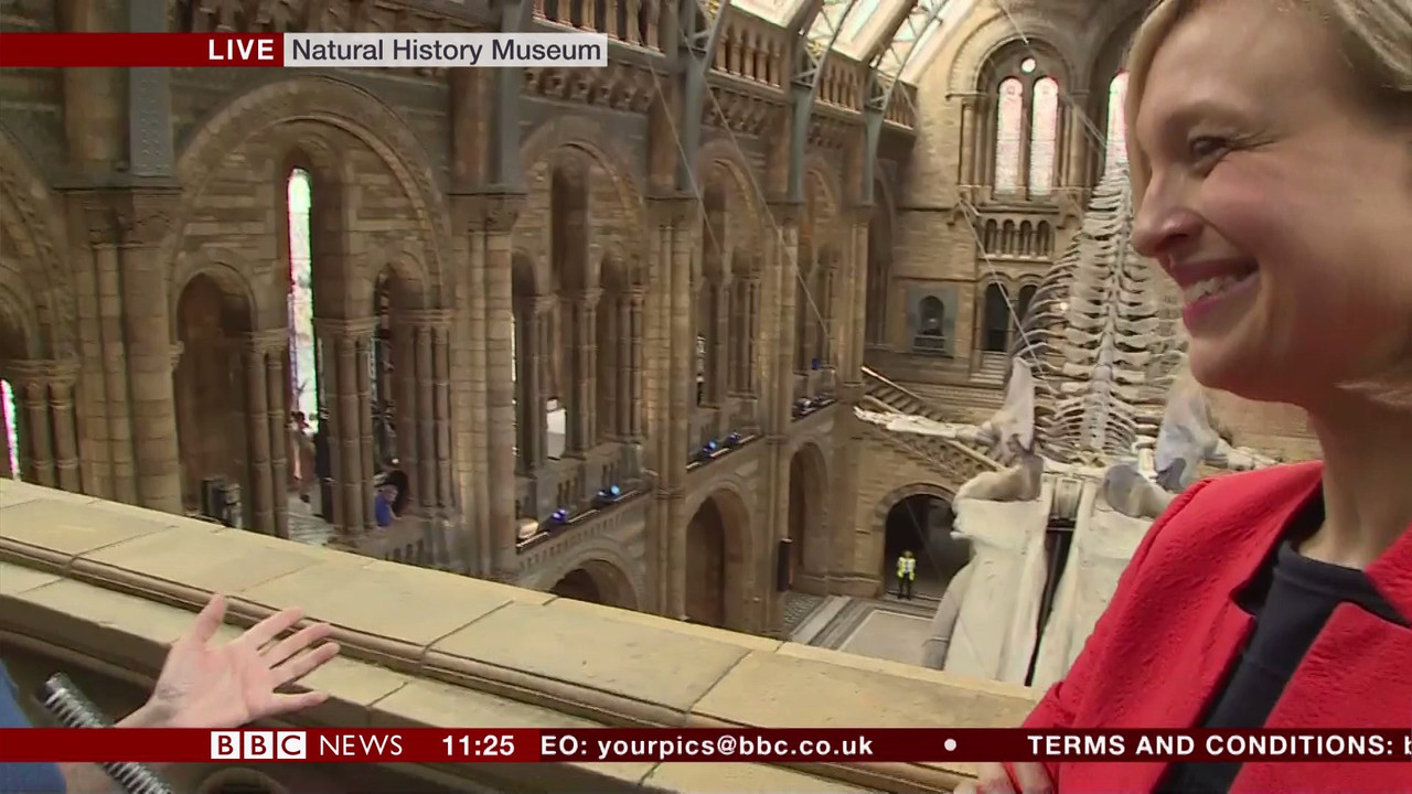 BBC Newsroom Live_20170713_11001130.ts_snapshot_
