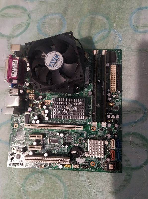 255245137_332556595348744_4852836423755870229_n