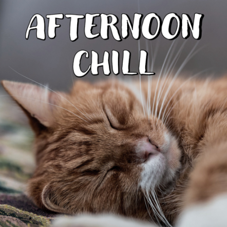 VA - Afternoon Chill (2020)