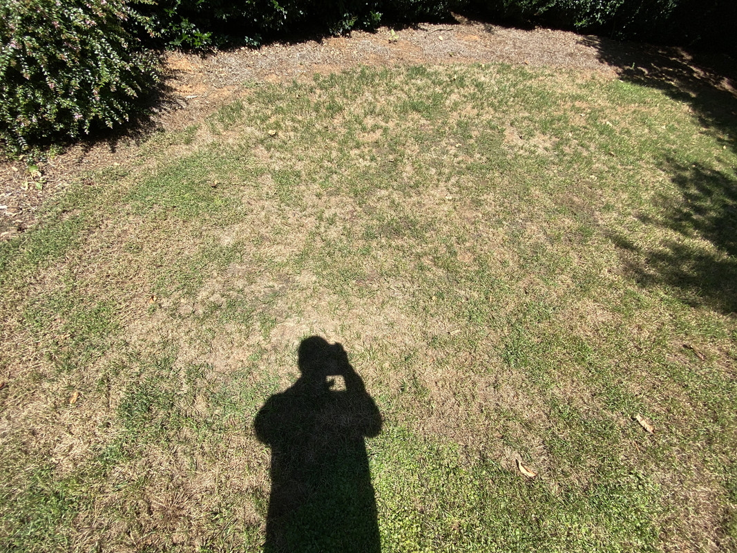 BDF722C2-FE0E-45D7-A2A6-29DBAB308DD3