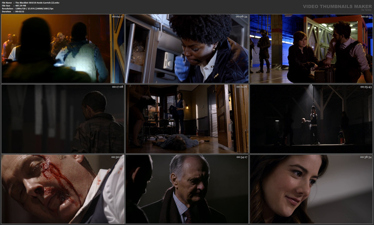 The Blacklist S01E10 Anslo Garrick (2).mkv