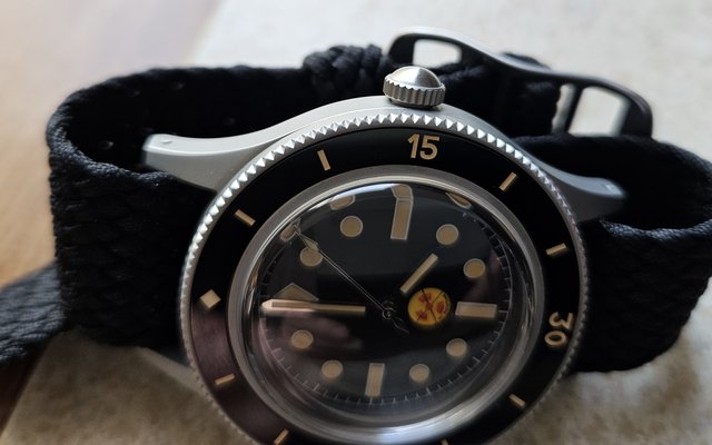 Le club des heureux propriétaires décomplexés de montres "hommage" - tome 9 - Page 22 20250307-160001