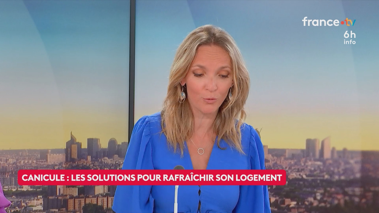 Le 6h info (France 2) 2026 06 20 04 55 67 ts snapshot 22 10 835