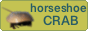 horseshoecrab's button