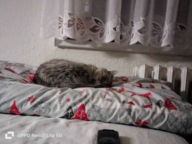 IMG20241216184642.jpg