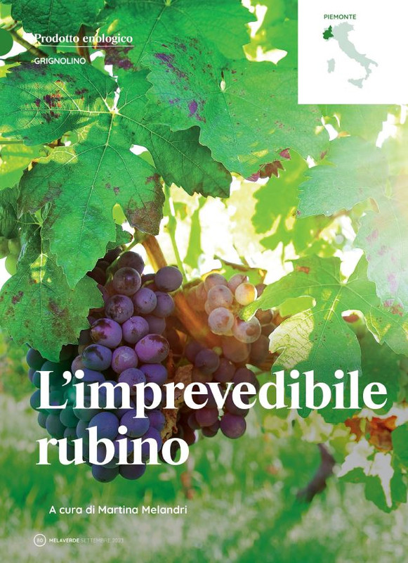 melaverde Set 2023 (11)