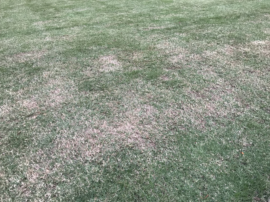 48899D8E-FB94-41F8-9802-151F388567BC